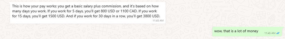 pig butchering scam whatsapp text