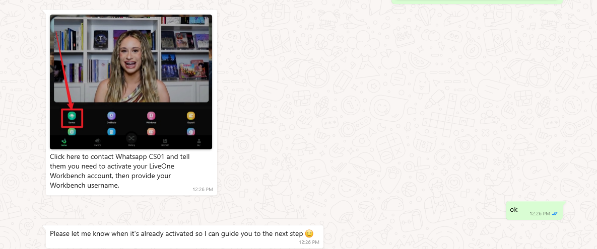 pig butchering scam whatsapp text